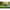 Cort 3-4 Persoane Dd Hammocks Tipi Olive Green