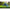 Cort 3-4 Persoane Dd Hammocks Tipi Olive Green