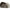 Cort Avid Revolve Ng Bivvy 1 Person, 145x260x250cm