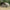 Cort Avid Revolve Ng Bivvy 2 Person, 155x300x290cm