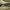 Cort Avid Carp Revolve Bivvy Two Men