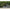 Cort Avid Carp Screen House 4D