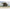 Cort Avid Carp Screen House Compact 3D
