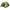Cort Coleman Monviso 3