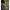 Cort Fox Eos Mk2 Bivvy, 275x300x150cm