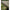 Cort Fox Eos Mk2 Bivvy, 275x300x150cm
