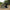 Cort Fox Eos Pro Bivvy, 2 Person