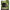 Cort Fox Eos Mk2 1 Person Bivvy, 220x275x145cm
