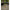 Cort Fox Eos Mk2 1 Person Bivvy, 220x275x145cm