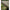 Cort Fox Eos Mk2 1 Person Bivvy, 220x275x145cm