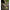 Cort Fox Eos Mk2 1 Person Bivvy, 220x275x145cm