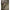 Cort Fox Eos Mk2 1 Person Bivvy, 220x275x145cm
