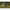 Cort Fox Easy Dome Maxi 2 Man