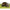 Cort Fox Easy Shelter Camo