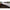 Cort Fox R Series 1 Man Xl Camo Inner Dome