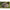 Cort Fox Retreat 1Man Plus Inner Dome