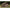 Cort Fox Retreat Plus 2 Man Bivy