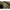 Cort Jrc Cocoon Dome, 2 Man, 175x340x305cm