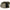 Cort Jrc Extreme Tx2 Xxl Dome, 360x335x180