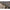 Cort Jrc Rova Peak 2 Men Bivvy Camo, 150x300x295cm