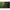 Cort Mikado Bivvy Block Dome, 230x215x190cm