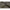 Cort Mivardi New Dynasty  2-3 Pers