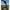 Cort Starbaits Base Camp Dlx Pack 300