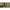 Cort Starbaits Brolly Dlx