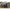 Cort Starbaits Qg Dlx