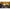 Cort Starbaits Qg Dlx
