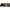 Cort Starbaits Qg