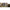 Cort Starbaits Qg