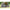 Cort Starbaits Sentinel G2