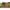Cort Starbaits Sentinel