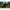 Cort Solar Compact Spider System Camo, 270x150x160cm