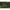Cort Solar Compact Spider System Camo, 270x150x160cm