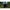 Cort Solar Compact Spider System Camo, 270x150x160cm