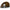 Cort Z-fish Bivvy Comfort Dome 2 Men 250x310x150cm
