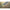 Cort Z-fish Bivvy Deluxe King Size 2 Men 280x300x170cm