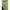 Cort Zfish Classic Shelter Zfp, 140x150x260cm