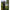 Costum Iarna Fox Wintersuit, Khaki/camo, Marime S