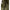 Costum De Iarna Daiwa Winter Carp Olive Green, Marime Xxl