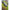 Cosulet Feeder Korum Bait Gripper Feeder, 220g, 1buc/pac