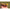 Cosulet Guru Fast Release Pole Pots Large, 2buc/pac
