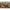 Cosulet Korum Camo Grub Feeder, 30g, 1buc/pac