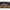 Cosulet Korum Camo Grub Feeder, 30g, 1buc/pac