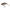 Crank Sakura SCB 100 F 53mm 10.70gr RL05 Real Life Gardon