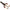 Creatura Berkley Pulse Realistic Craw Hollow, Signal Cray Uv Claw, 7cm, 8buc/plic