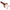Creatura Berkley Pulse Realistic Craw Hollow, Wagasaki, 10cm, 6buc/plic