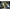 Creatura Fishpro Maybug, 2.5cm, Chaos, 5buc/pac